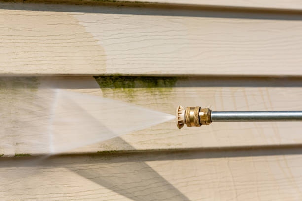 Best Roof Pressure Washing  in Selinsgrove, PA