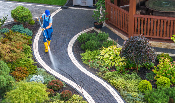 Best House Pressure Washing  in Selinsgrove, PA