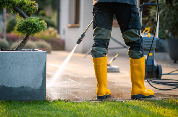Best Local Pressure Washing Services  in Selinsgrove, PA